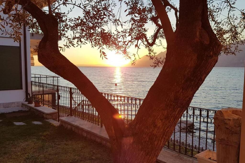 Villa Francesca-Grande Appartamento In Riva Al Lago Brenzone sul Garda Exteriér fotografie