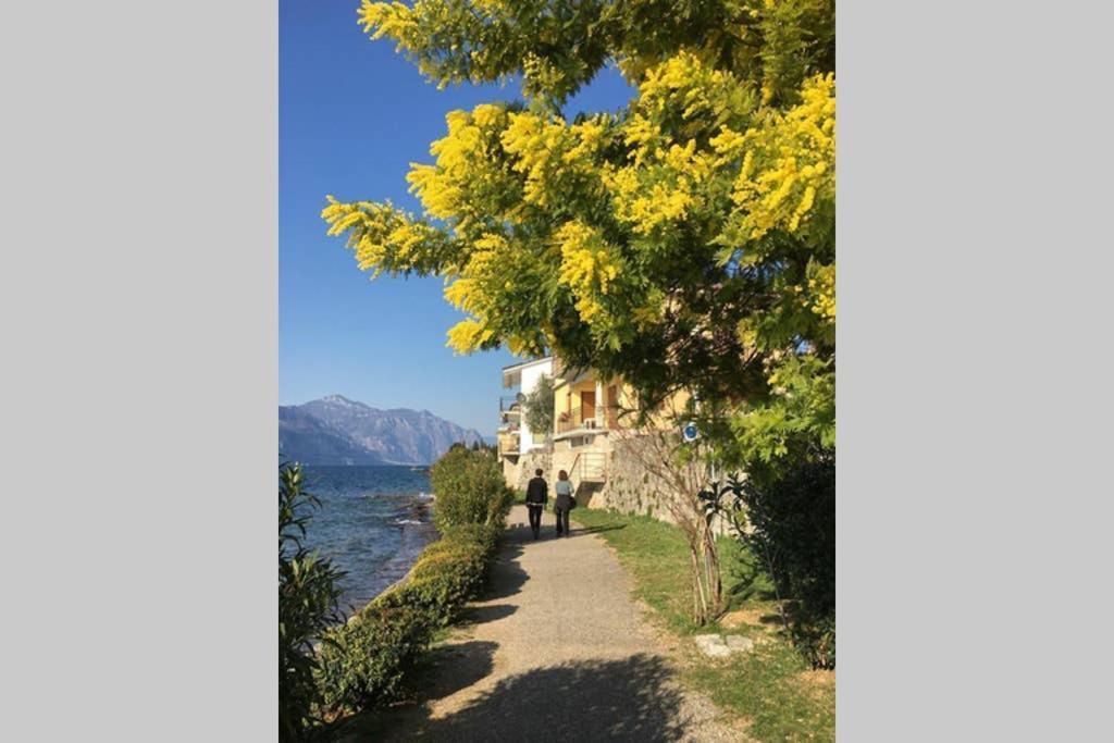 Villa Francesca-Grande Appartamento In Riva Al Lago Brenzone sul Garda Exteriér fotografie